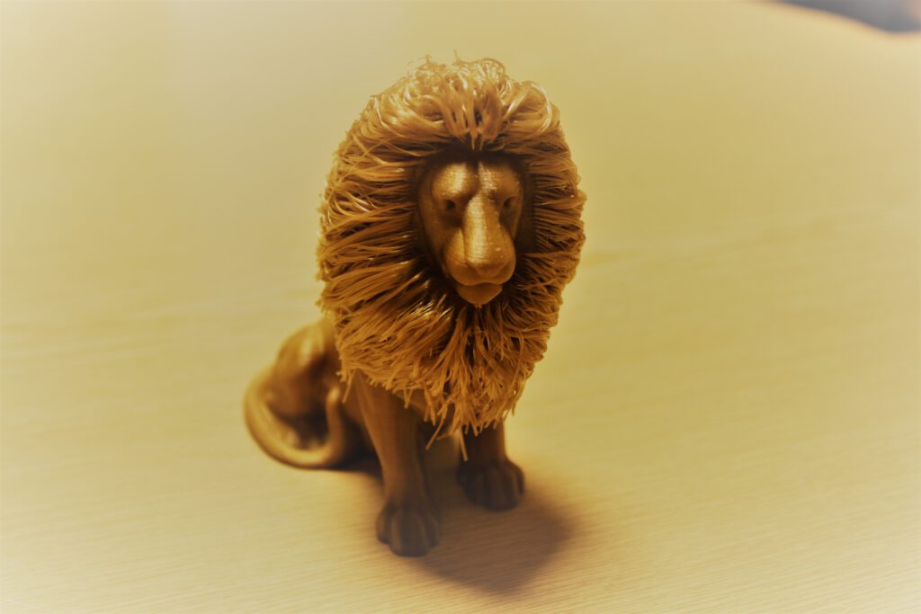 Hairy Lion, Gold